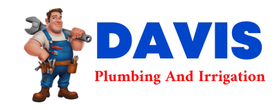 Trusted plumber in COWANESQUE